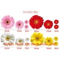 Sunny Flower, Sunny Mood Wall Sticker